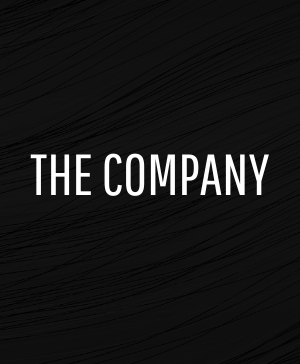 the-company