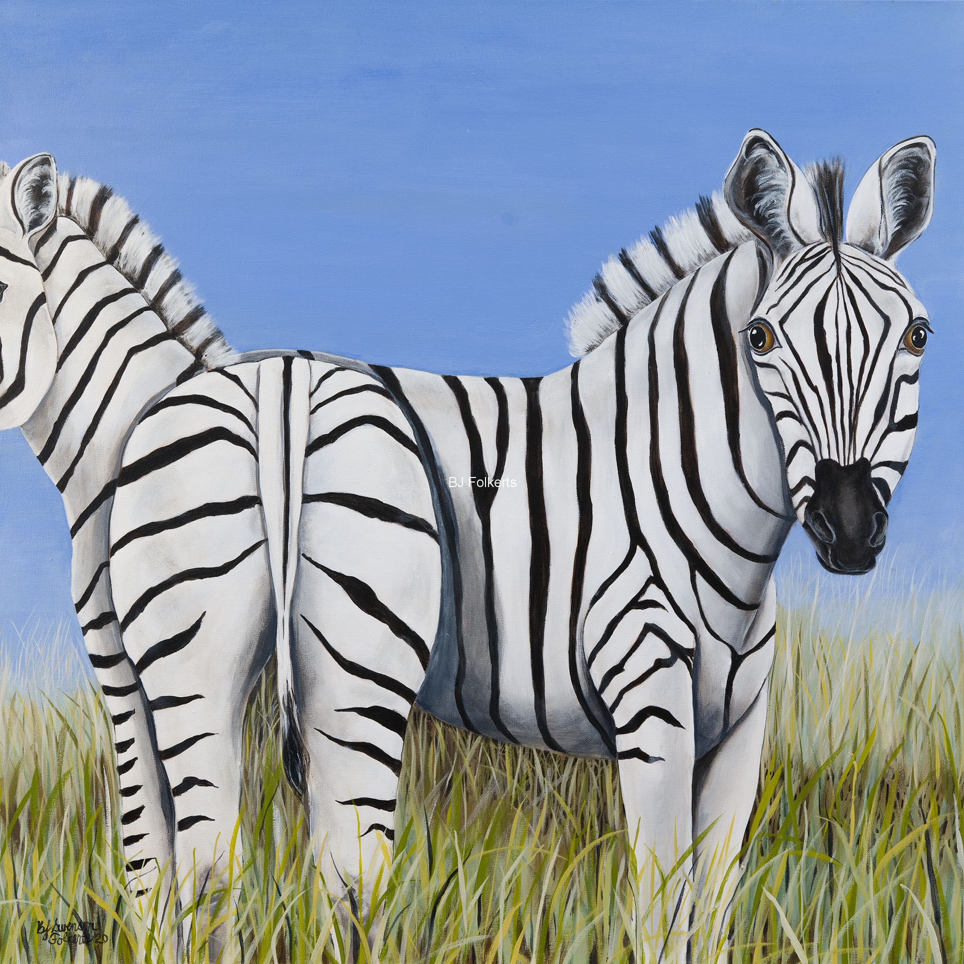 zebra pair