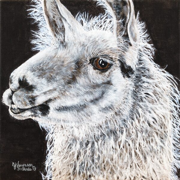 Llama Portrait