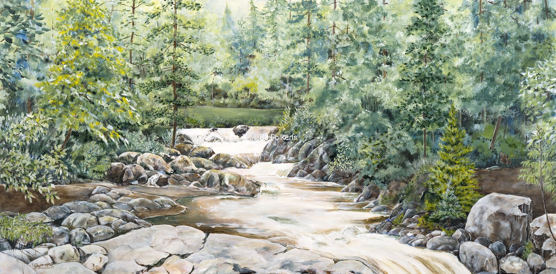River in the Woods
