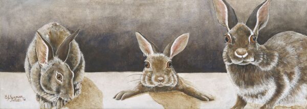 Three bunnies BFolkerts_01_071416