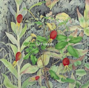 ROSE HIPS